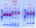 Thumbnail for version as of 15:15, 30 January 2012