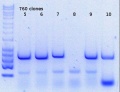 Thumbnail for version as of 13:57, 14 April 2015