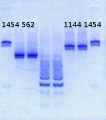 Thumbnail for version as of 14:08, 16 May 2013