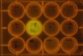 Thumbnail for version as of 22:04, 20 March 2011