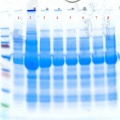 Thumbnail for version as of 11:19, 10 February 2012