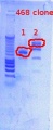 Thumbnail for version as of 16:11, 23 January 2012