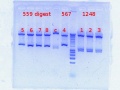 Thumbnail for version as of 14:17, 18 October 2012
