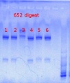 Thumbnail for version as of 10:41, 10 June 2013