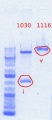 Thumbnail for version as of 15:41, 9 May 2012