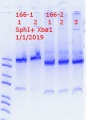 Thumbnail for version as of 17:43, 1 January 2019