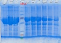 Thumbnail for version as of 15:54, 24 September 2013