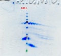 Thumbnail for version as of 15:54, 24 September 2013
