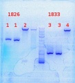 Thumbnail for version as of 09:47, 30 August 2013
