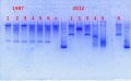 Thumbnail for version as of 17:25, 17 January 2014