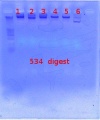 Thumbnail for version as of 10:01, 23 January 2012
