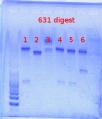 Thumbnail for version as of 10:41, 10 June 2013
