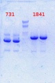 Thumbnail for version as of 11:00, 28 March 2014
