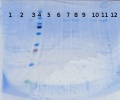 Thumbnail for version as of 17:17, 28 May 2014