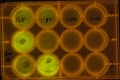 Thumbnail for version as of 14:21, 26 March 2011