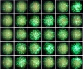 Thumbnail for version as of 17:17, 5 May 2016