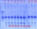 Thumbnail for version as of 10:45, 12 April 2012
