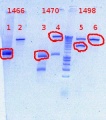 Thumbnail for version as of 11:18, 18 December 2012