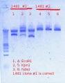 Thumbnail for version as of 00:05, 8 December 2012