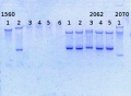 Thumbnail for version as of 16:15, 24 March 2014