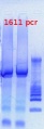 Thumbnail for version as of 13:53, 11 January 2013
