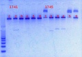 Thumbnail for version as of 12:51, 16 May 2013