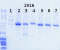 Thumbnail for version as of 16:53, 8 May 2015