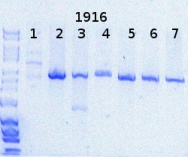 RTENOTITLE