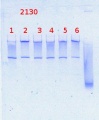 Thumbnail for version as of 15:07, 24 March 2014