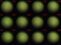 Thumbnail for version as of 16:36, 14 December 2011