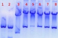 Thumbnail for version as of 11:56, 25 July 2011