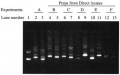 Thumbnail for version as of 22:23, 25 June 2013