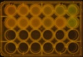 Thumbnail for version as of 11:31, 21 March 2016