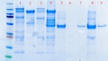Thumbnail for version as of 09:59, 13 April 2011