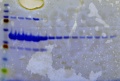 Thumbnail for version as of 13:26, 30 December 2011
