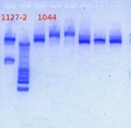 Thumbnail for version as of 18:37, 18 January 2013