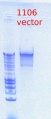 Thumbnail for version as of 14:55, 19 July 2012
