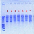 Thumbnail for version as of 15:31, 19 July 2012