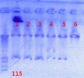 Thumbnail for version as of 13:56, 24 August 2012