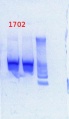 Thumbnail for version as of 15:01, 20 March 2013