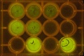 Thumbnail for version as of 10:55, 17 November 2011