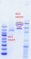 Thumbnail for version as of 14:18, 10 May 2012