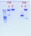 Thumbnail for version as of 13:40, 13 January 2012