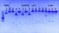 Thumbnail for version as of 12:04, 29 October 2014