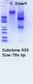 Thumbnail for version as of 20:34, 4 April 2018