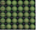 Thumbnail for version as of 17:31, 1 July 2016