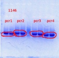 Thumbnail for version as of 12:38, 21 February 2014
