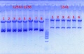 Thumbnail for version as of 16:22, 5 September 2012