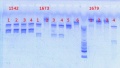 Thumbnail for version as of 14:55, 7 March 2013