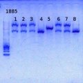 Thumbnail for version as of 16:07, 25 October 2013